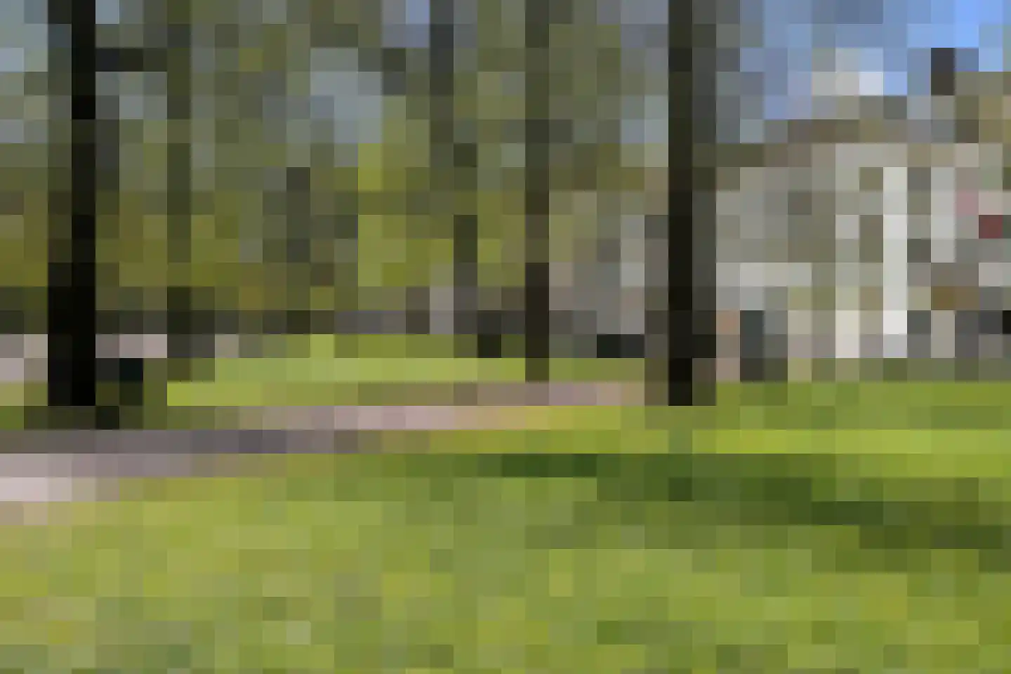 Nieuwe Uitleg 18 Den Haag thumbnail 83
