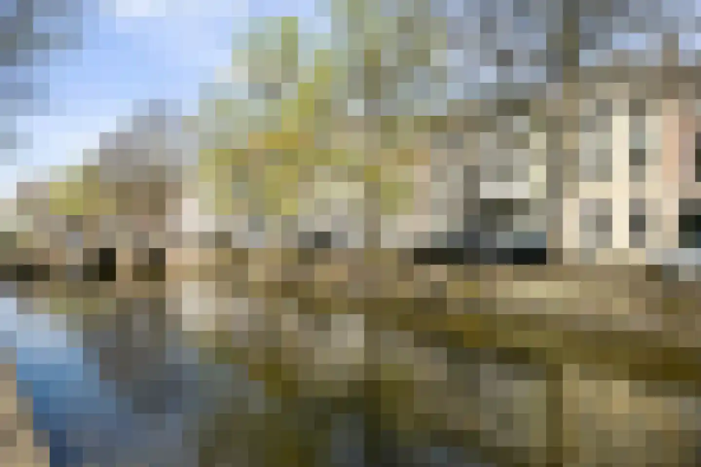 Nieuwe Uitleg 18 Den Haag thumbnail 84