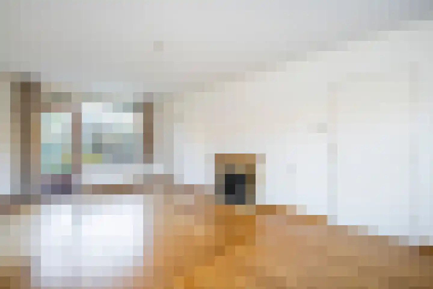 Nieuwe Uitleg 31 Dalfsen thumbnail 12