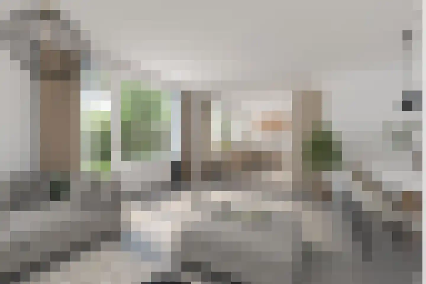 Nieuwe Uitleg 31 Dalfsen thumbnail 13