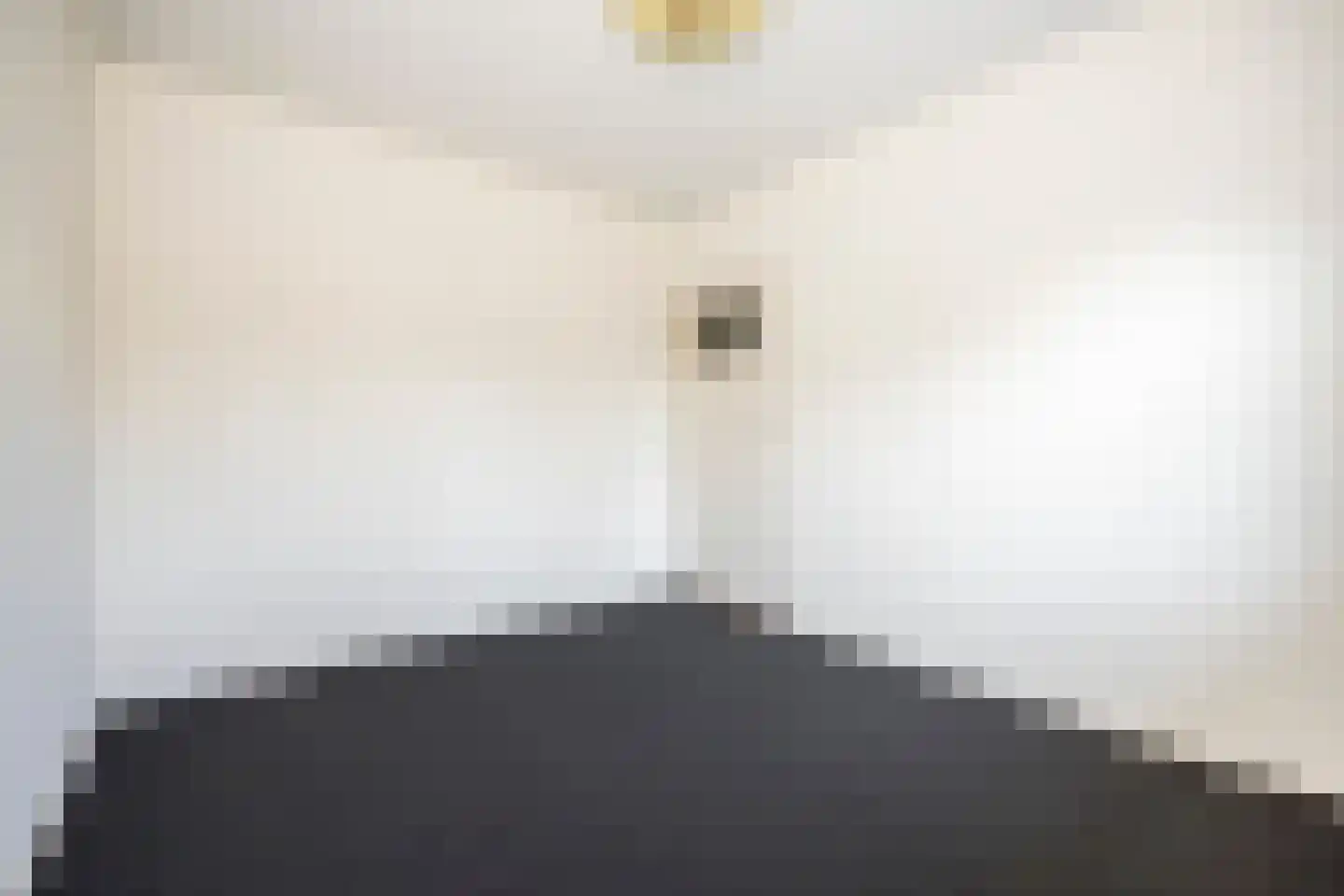 Nieuwe Uitleg 31 Dalfsen thumbnail 24