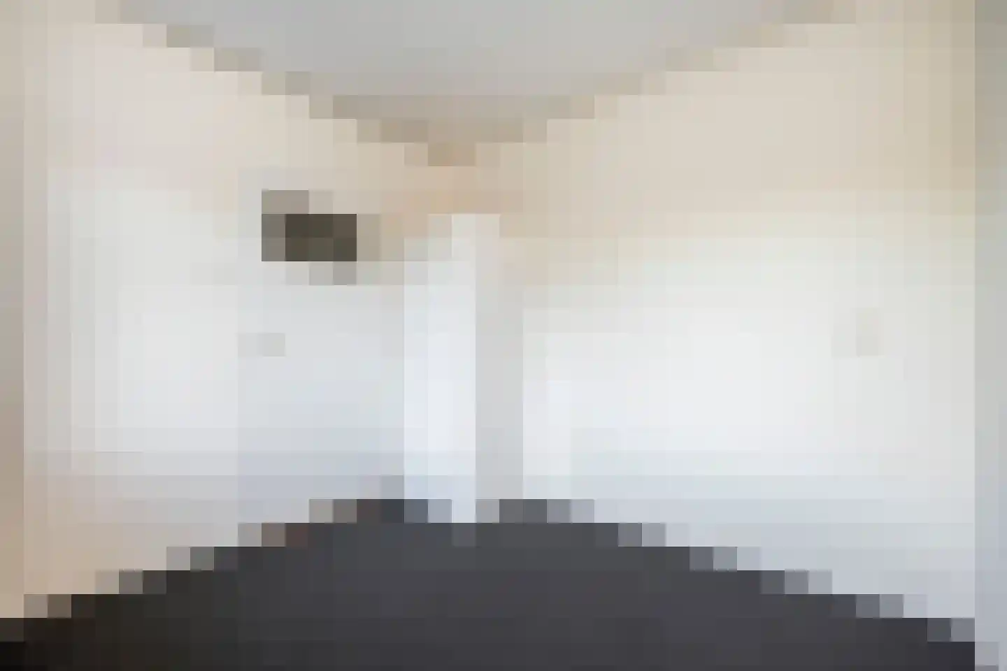Nieuwe Uitleg 31 Dalfsen thumbnail 27