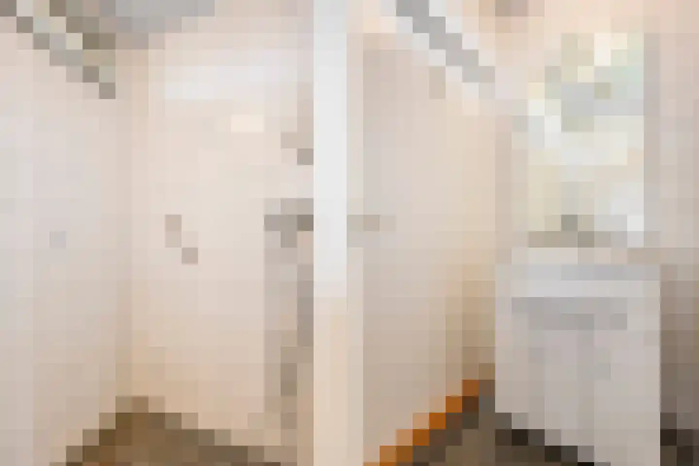 Nieuwe Uitleg 31 Dalfsen thumbnail 28