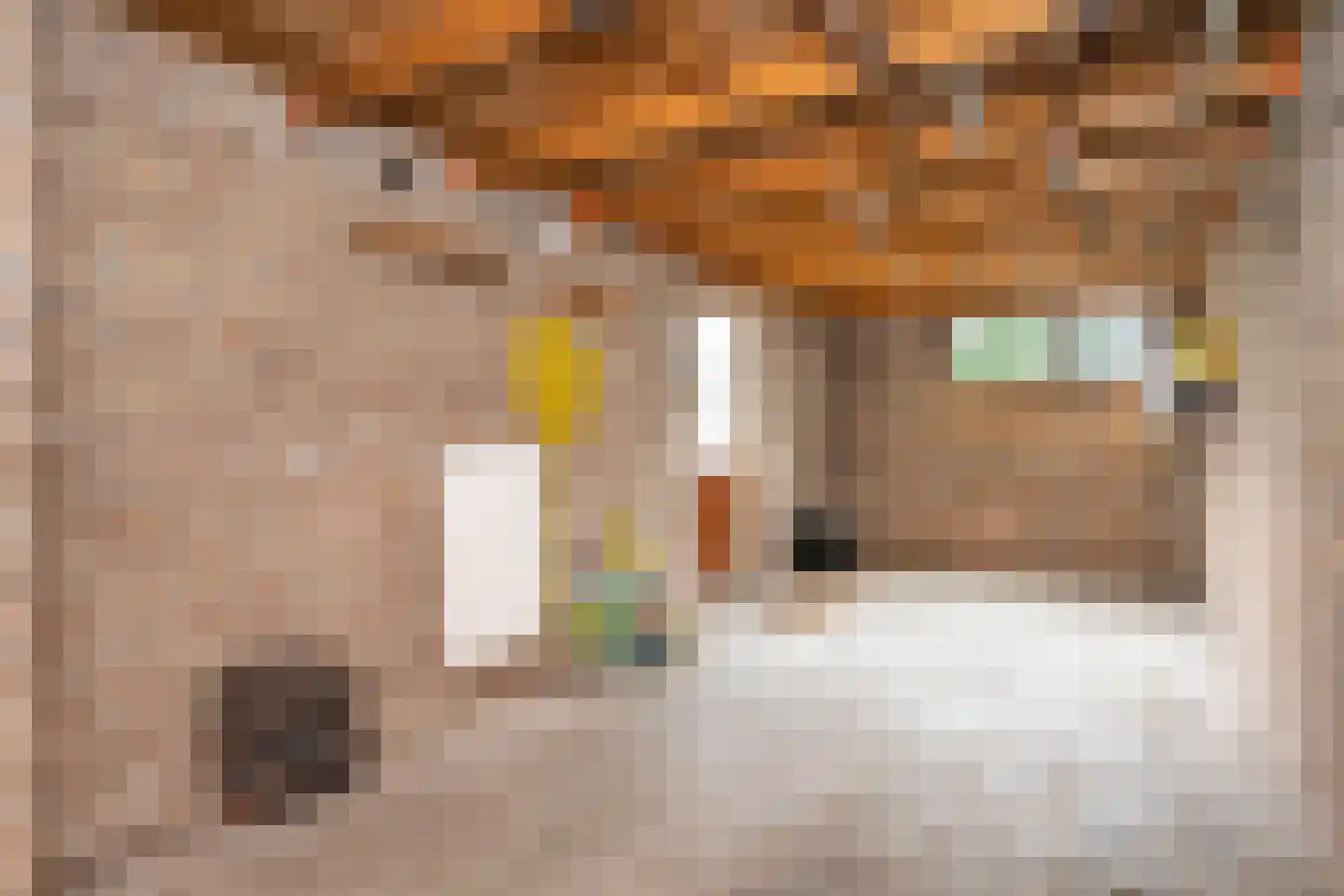 Nieuwe Uitleg 31 Dalfsen thumbnail 29