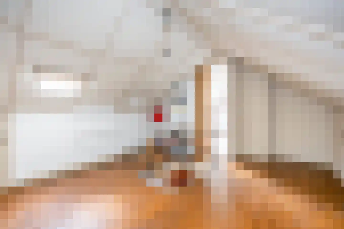 Nieuwe Uitleg 31 Dalfsen thumbnail 32