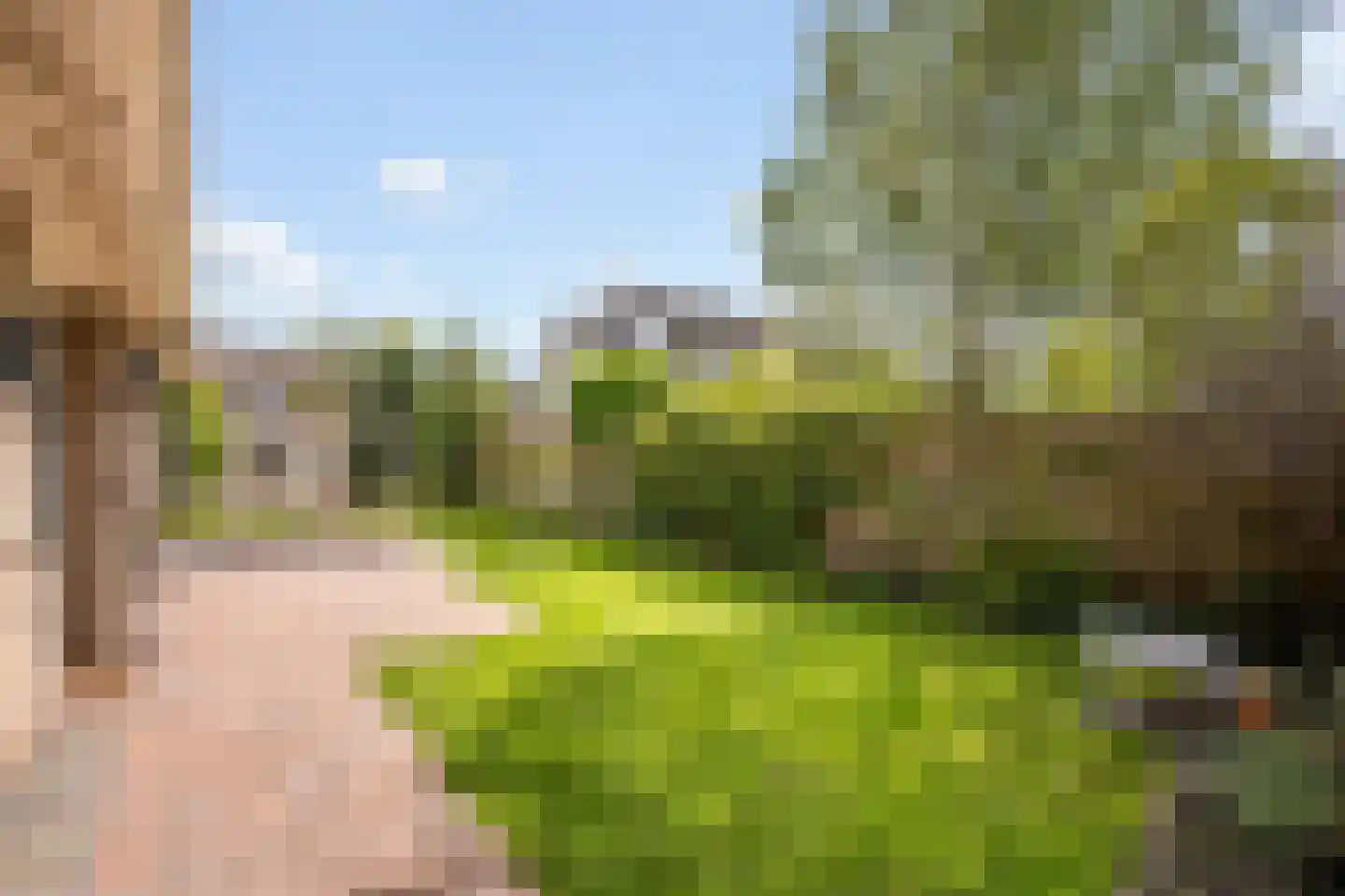 Nieuwe Uitleg 31 Dalfsen thumbnail 36