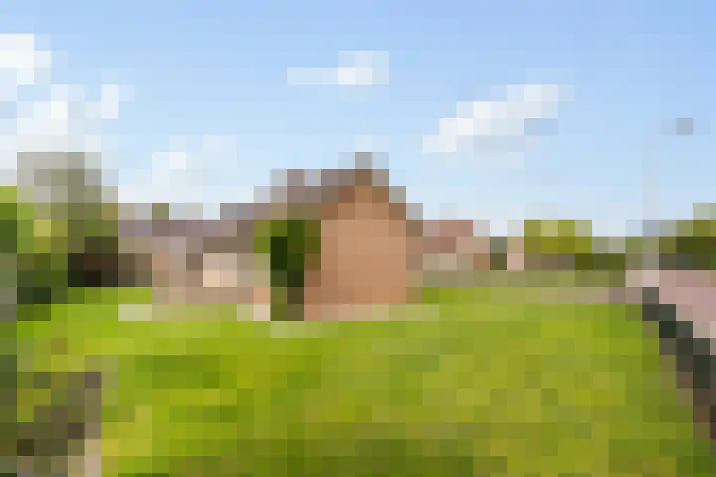 Nieuwe Uitleg 31 Dalfsen thumbnail 37