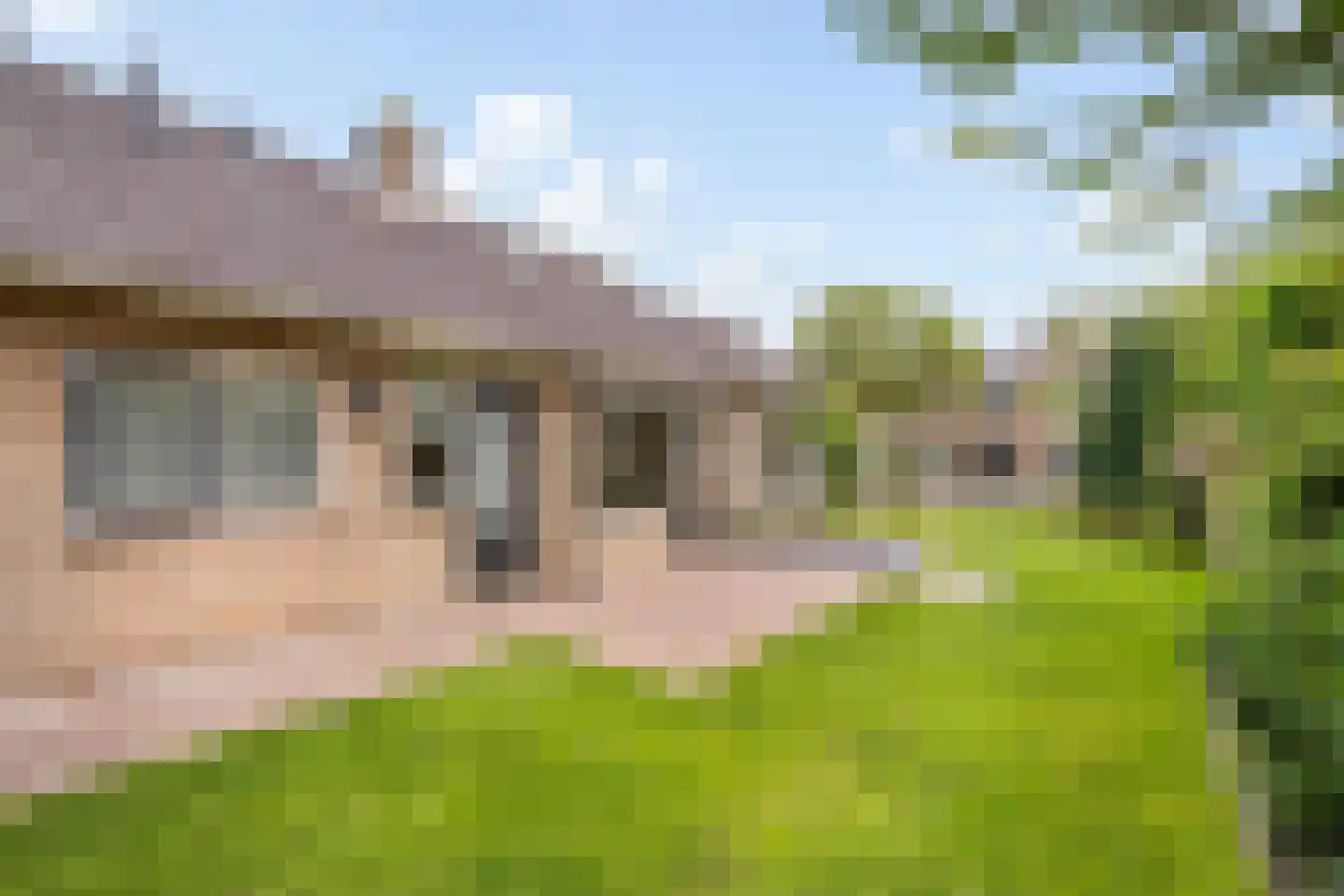 Nieuwe Uitleg 31 Dalfsen thumbnail 39