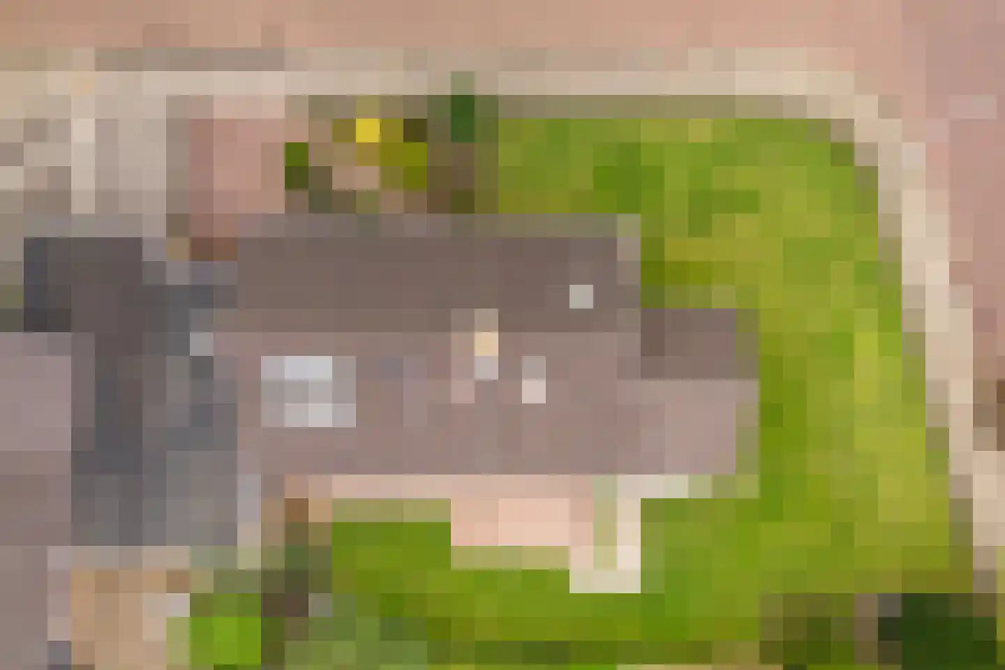 Nieuwe Uitleg 31 Dalfsen thumbnail 40