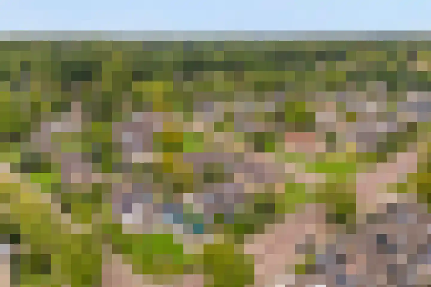 Nieuwe Uitleg 31 Dalfsen thumbnail 41