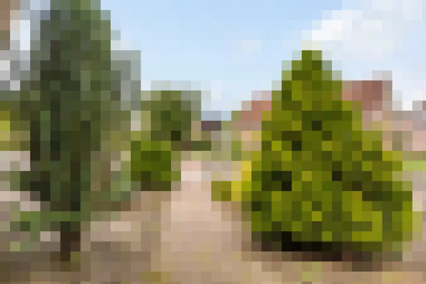Nieuwe Uitleg 31 Dalfsen thumbnail 6