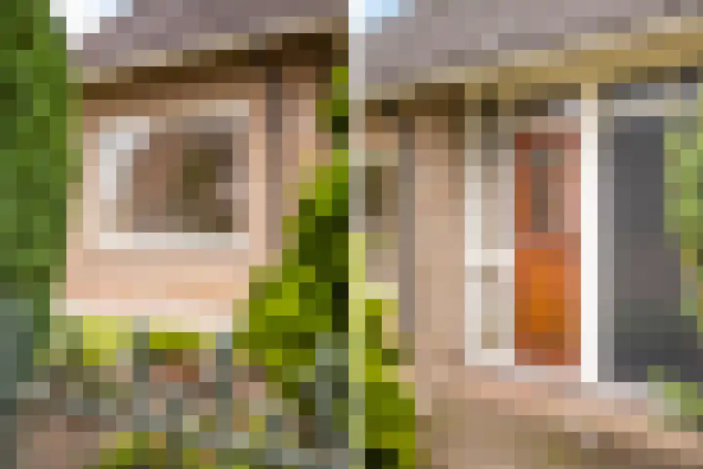 Nieuwe Uitleg 31 Dalfsen thumbnail 7