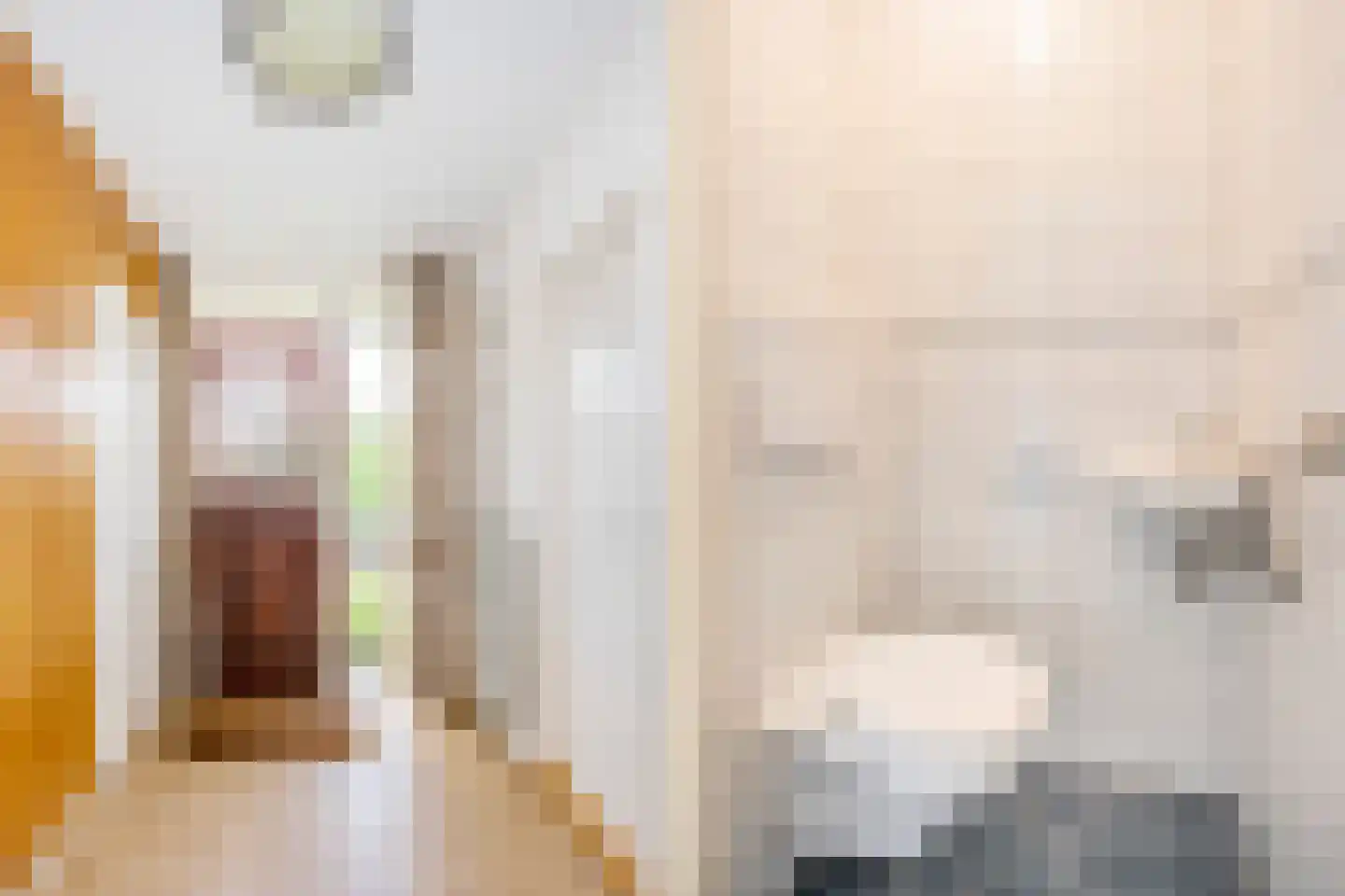 Nieuwe Uitleg 31 Dalfsen thumbnail 9