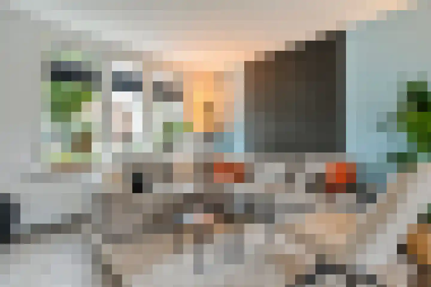Nieuwe Uitleg 40 Dalfsen thumbnail 11