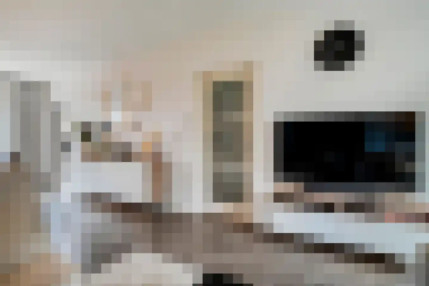 Nieuwe Uitleg 40 Dalfsen thumbnail 12