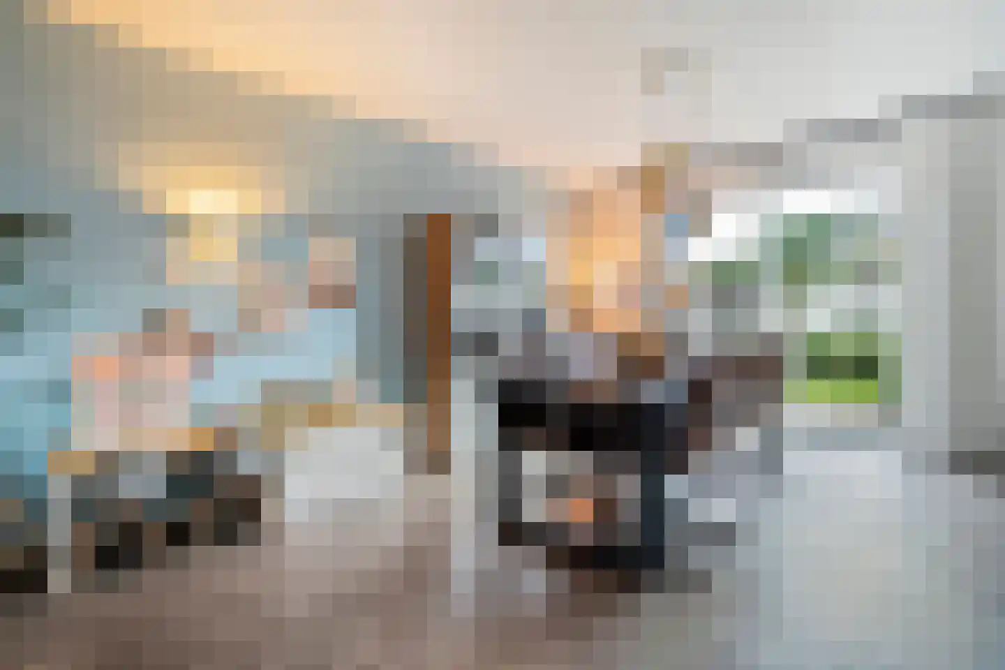 Nieuwe Uitleg 40 Dalfsen thumbnail 13