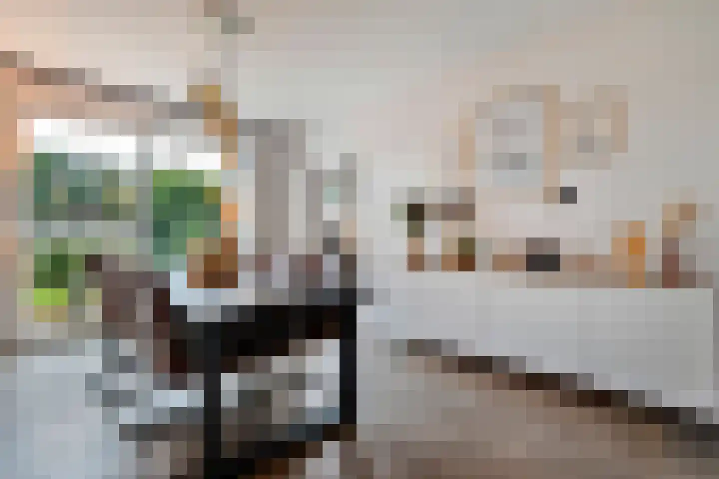 Nieuwe Uitleg 40 Dalfsen thumbnail 14