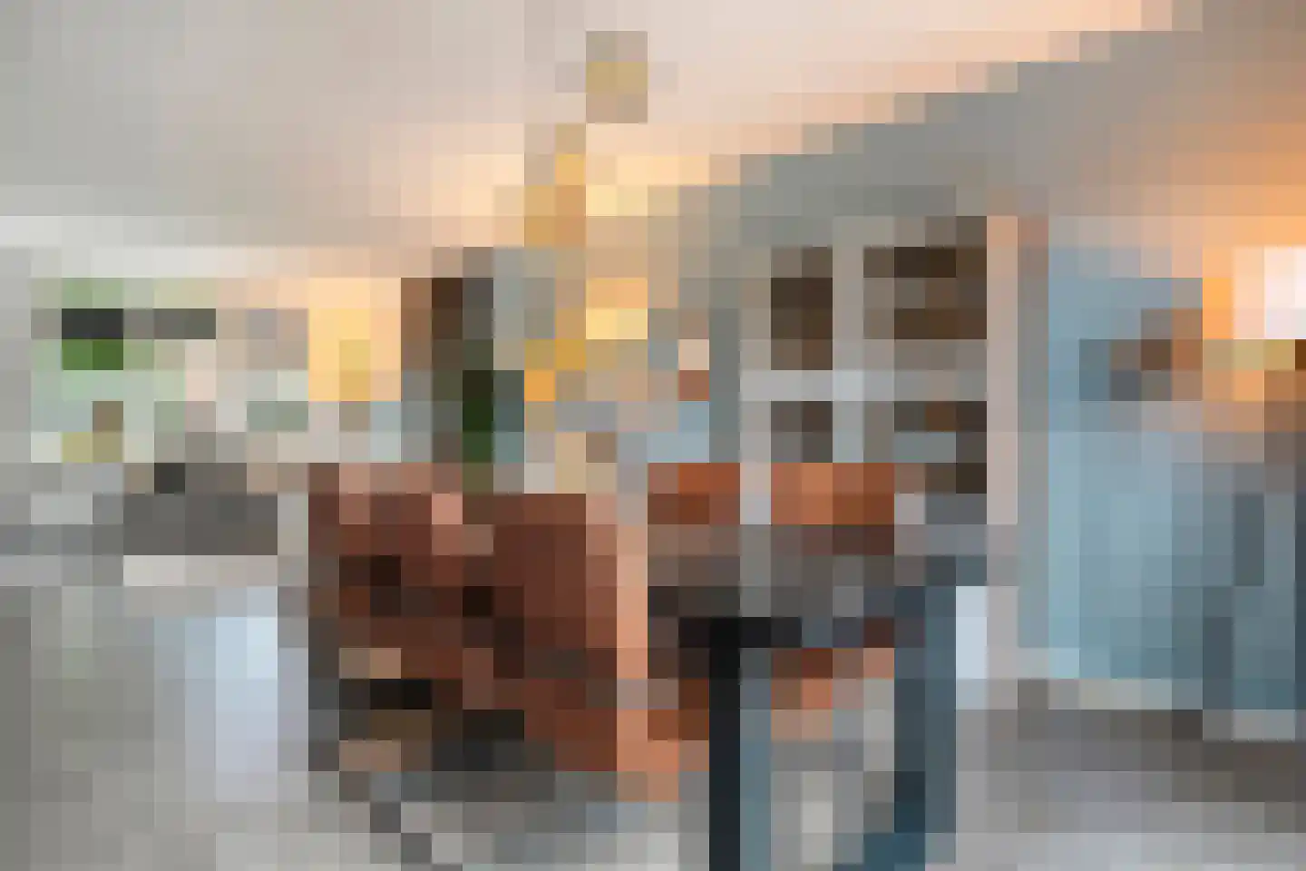 Nieuwe Uitleg 40 Dalfsen thumbnail 15