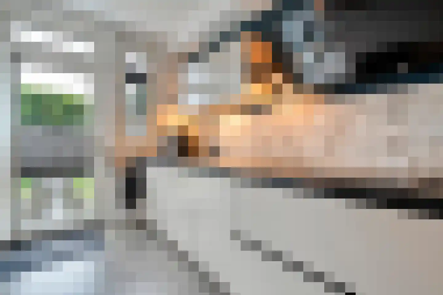 Nieuwe Uitleg 40 Dalfsen thumbnail 16