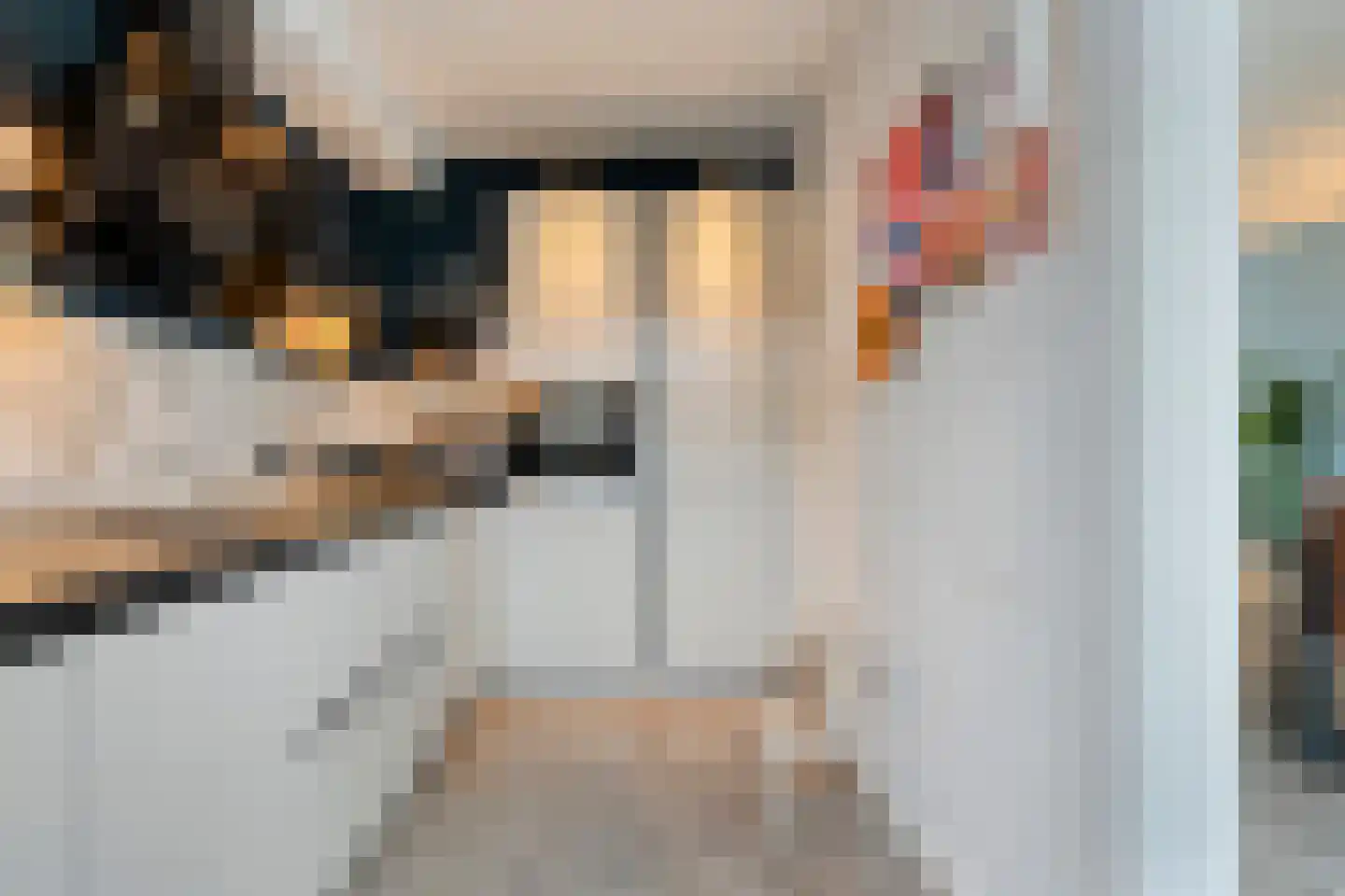 Nieuwe Uitleg 40 Dalfsen thumbnail 17