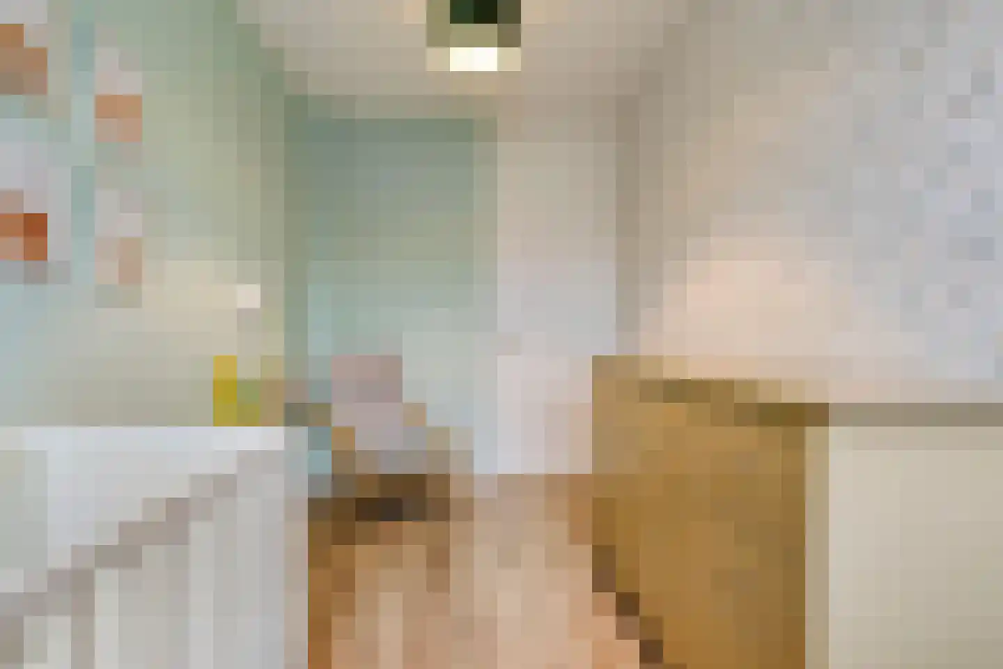 Nieuwe Uitleg 40 Dalfsen thumbnail 24
