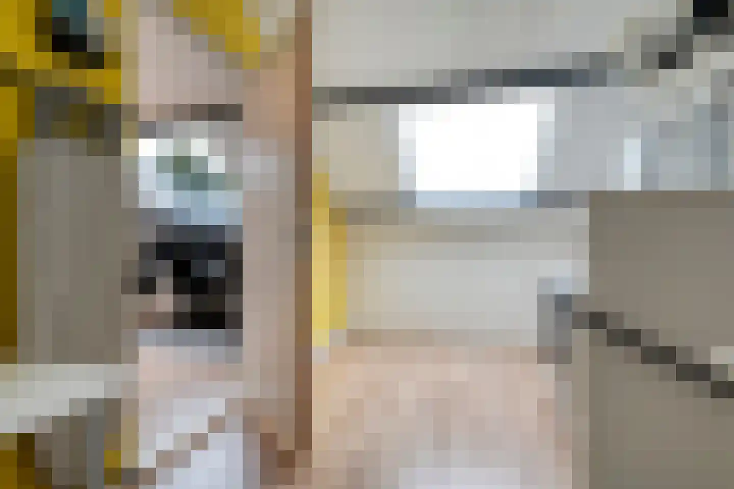 Nieuwe Uitleg 40 Dalfsen thumbnail 27