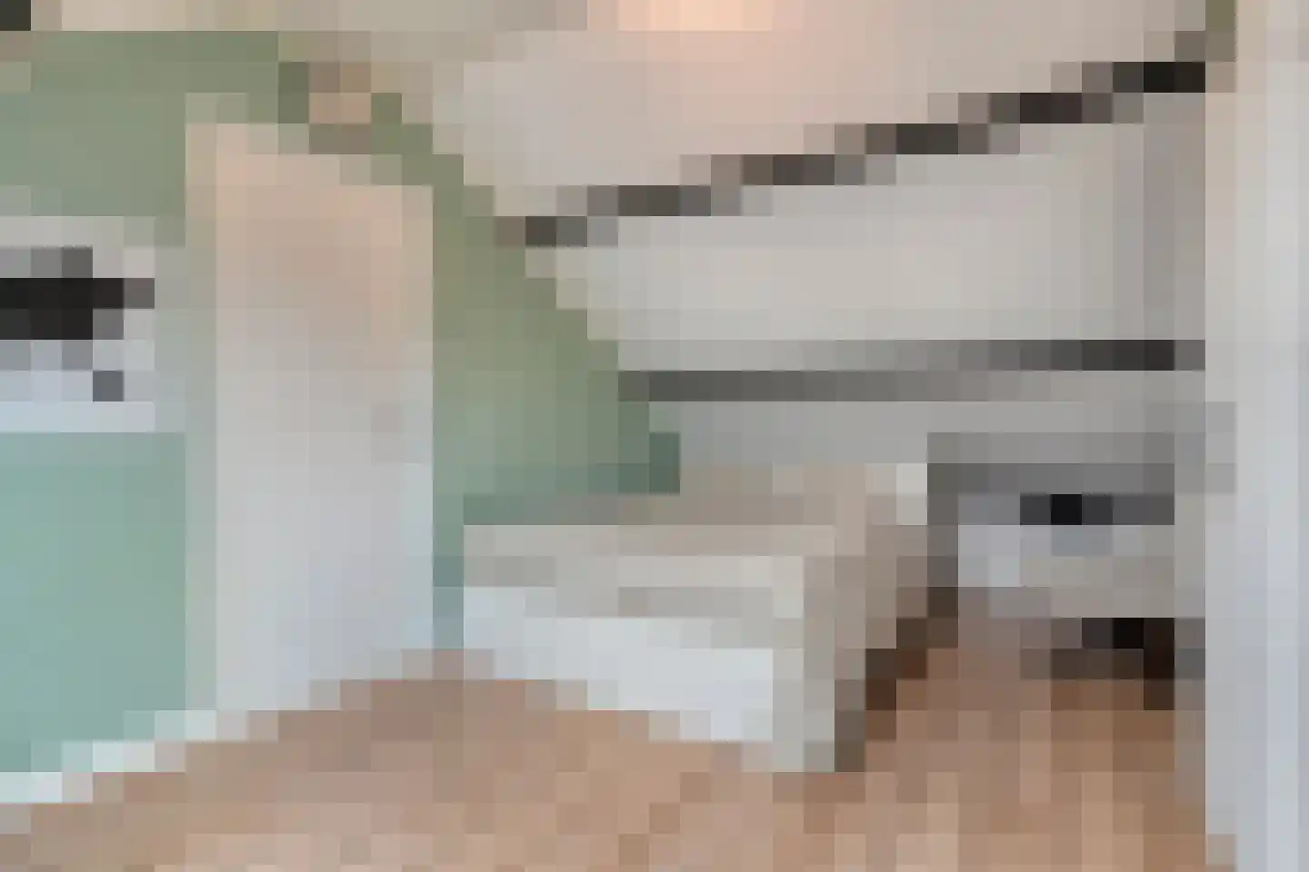 Nieuwe Uitleg 40 Dalfsen thumbnail 28