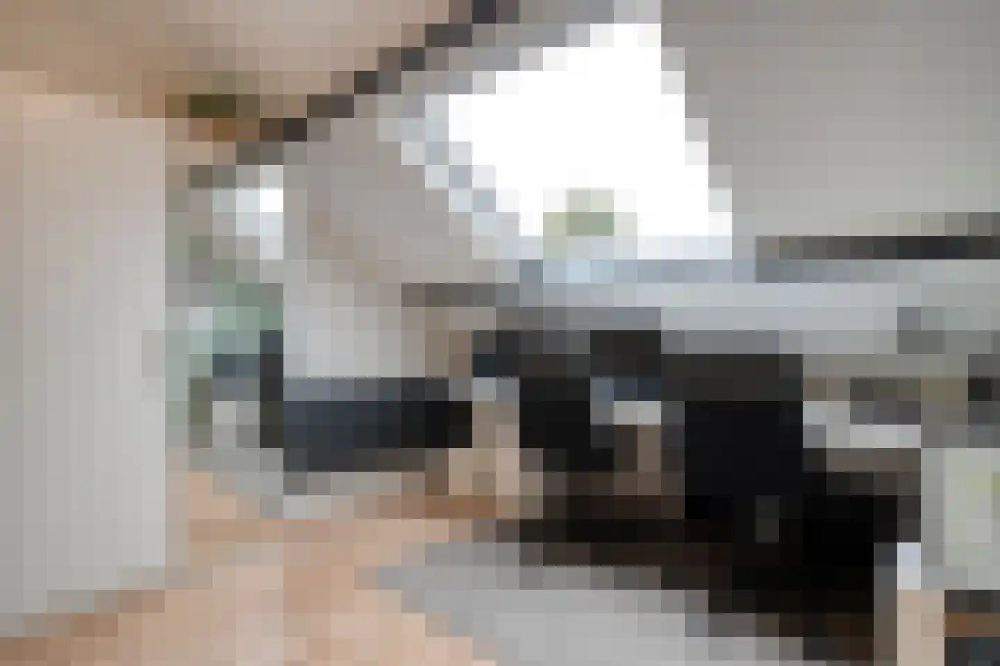 Nieuwe Uitleg 40 Dalfsen thumbnail 29