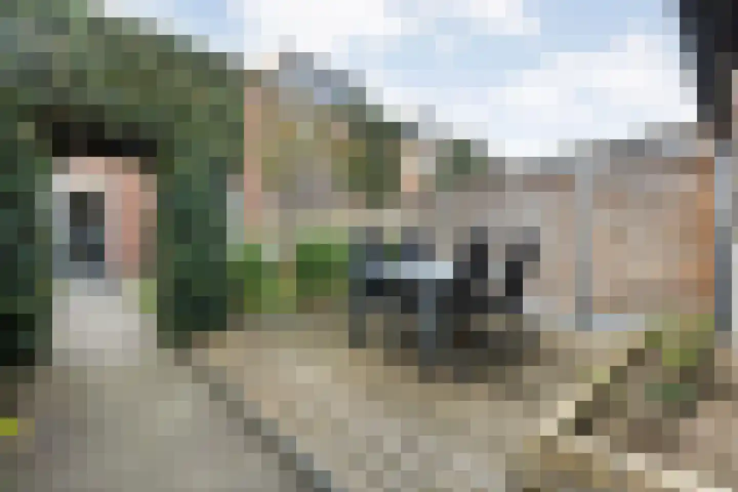 Nieuwe Uitleg 40 Dalfsen thumbnail 30