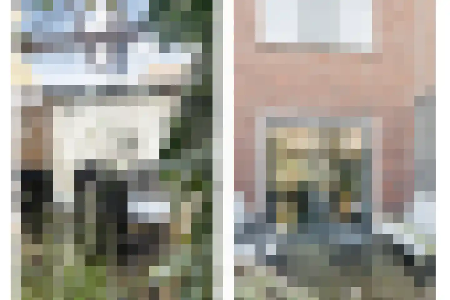 Nieuwe Uitleg 40 Dalfsen thumbnail 33
