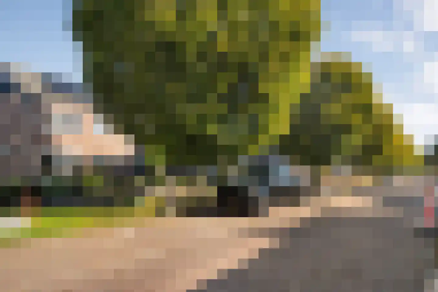 Nieuwe Uitleg 40 Dalfsen thumbnail 35