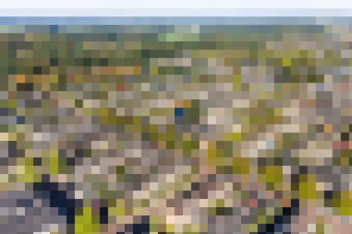 Nieuwe Uitleg 40 Dalfsen thumbnail 36