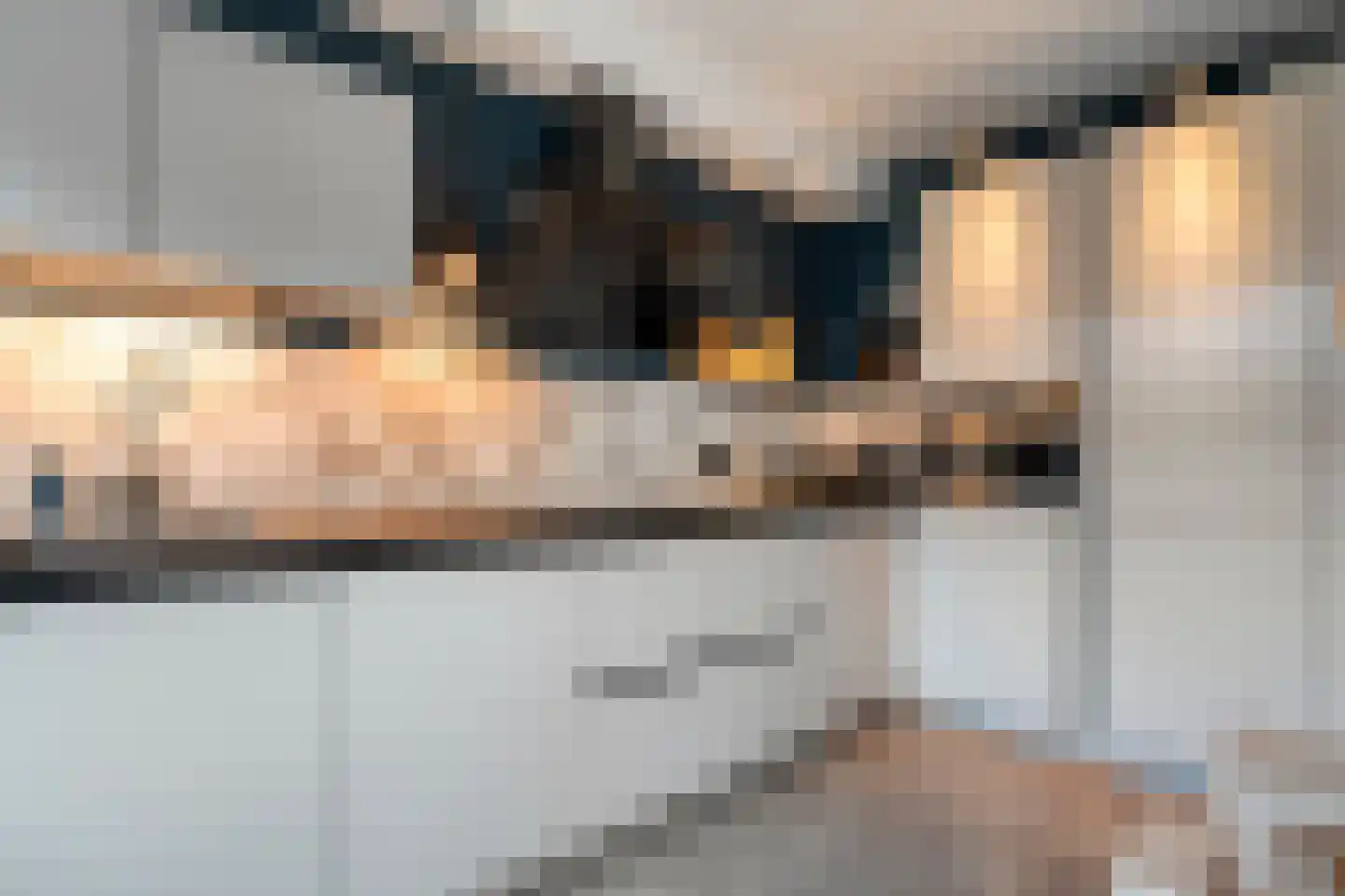 Nieuwe Uitleg 40 Dalfsen thumbnail 4