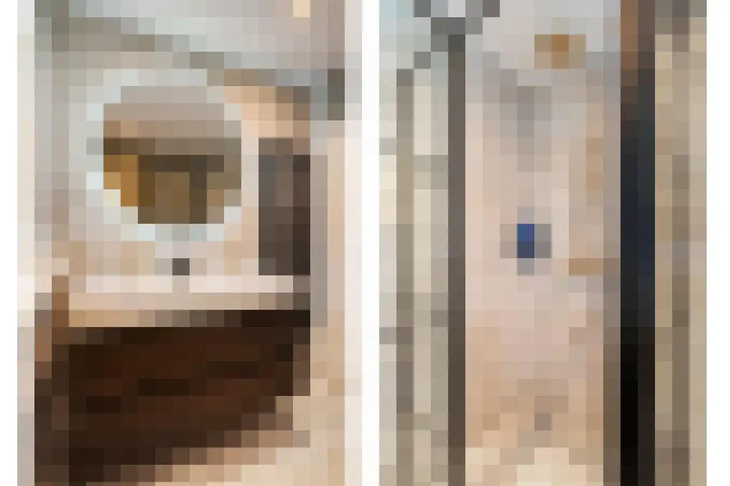 Nieuwe Uitleg 40 Dalfsen thumbnail 5