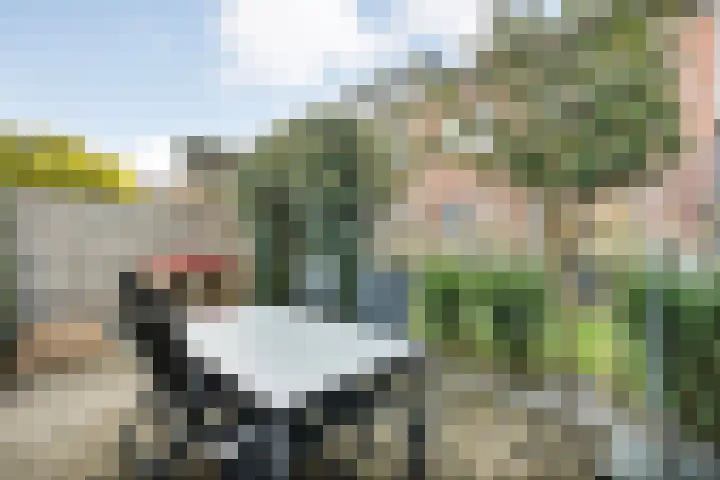 Nieuwe Uitleg 40 Dalfsen thumbnail 6