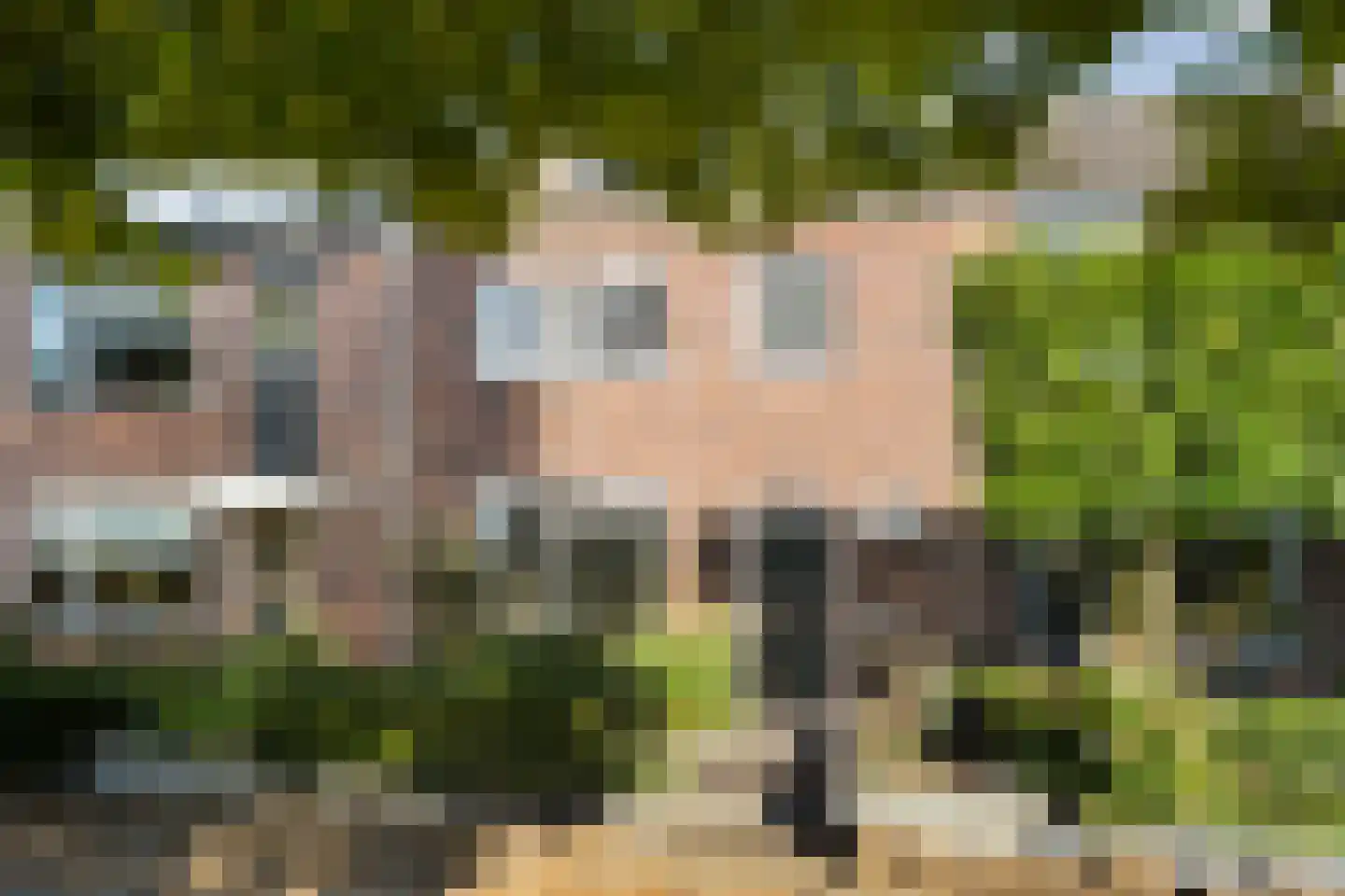 Nieuwe Uitleg 40 Dalfsen thumbnail 8