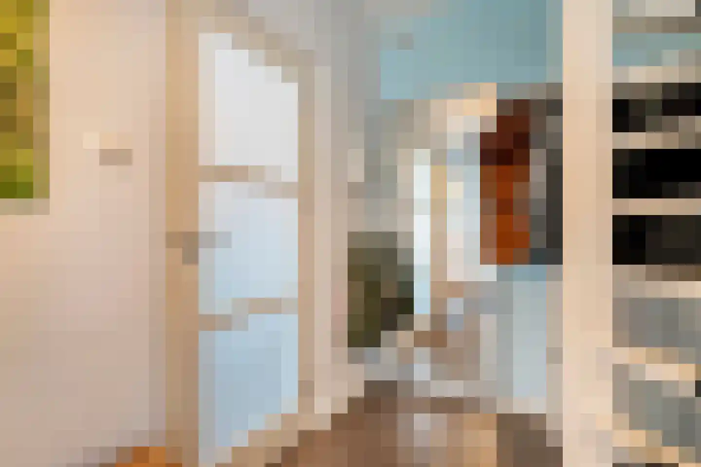 Nieuwe Uitleg 40 Dalfsen thumbnail 9