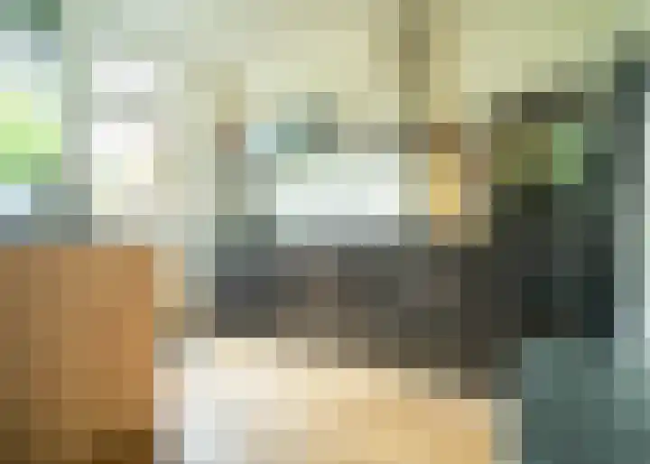 Nieuwe Uitleg 55 Bakel thumbnail 10
