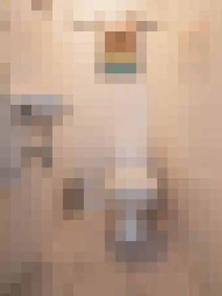 Nieuwe Uitleg 55 Bakel thumbnail 13