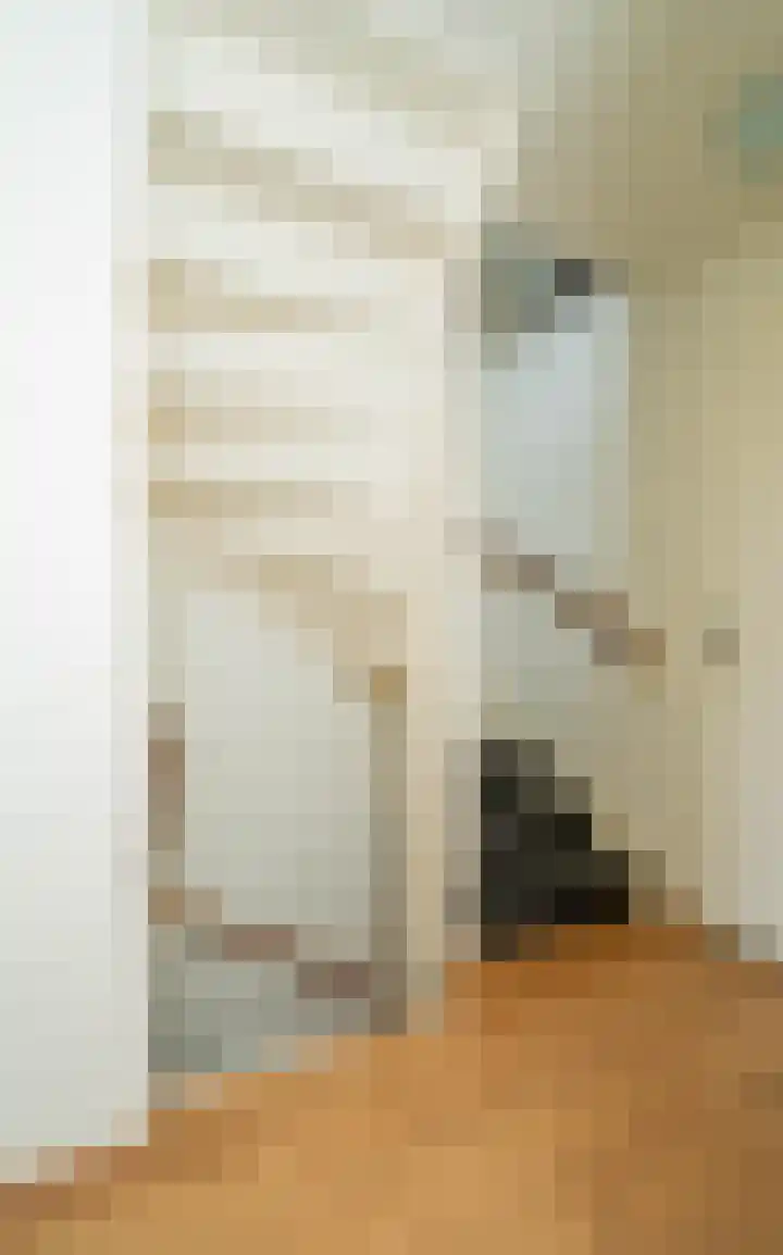 Nieuwe Uitleg 55 Bakel thumbnail 14