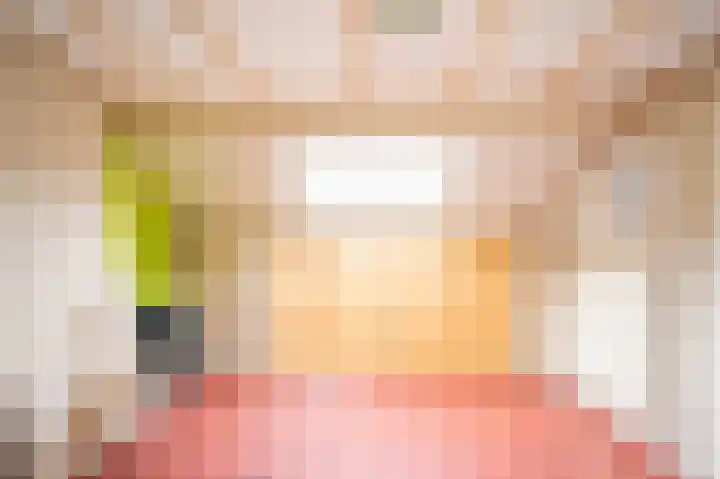 Nieuwe Uitleg 55 Bakel thumbnail 22
