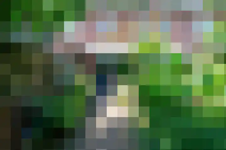 Nieuwe Uitleg 55 Bakel thumbnail 25