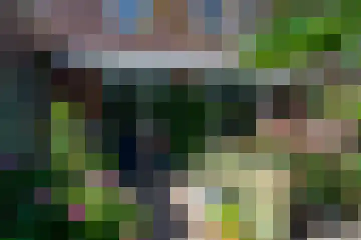 Nieuwe Uitleg 55 Bakel thumbnail 26