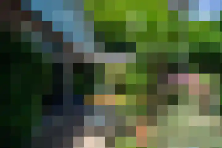 Nieuwe Uitleg 55 Bakel thumbnail 27