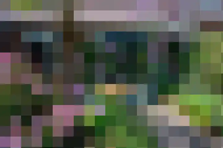 Nieuwe Uitleg 55 Bakel thumbnail 28