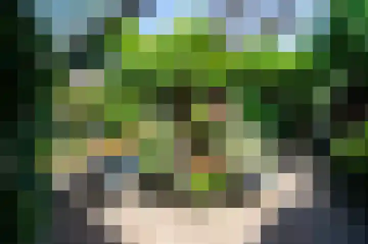 Nieuwe Uitleg 55 Bakel thumbnail 29