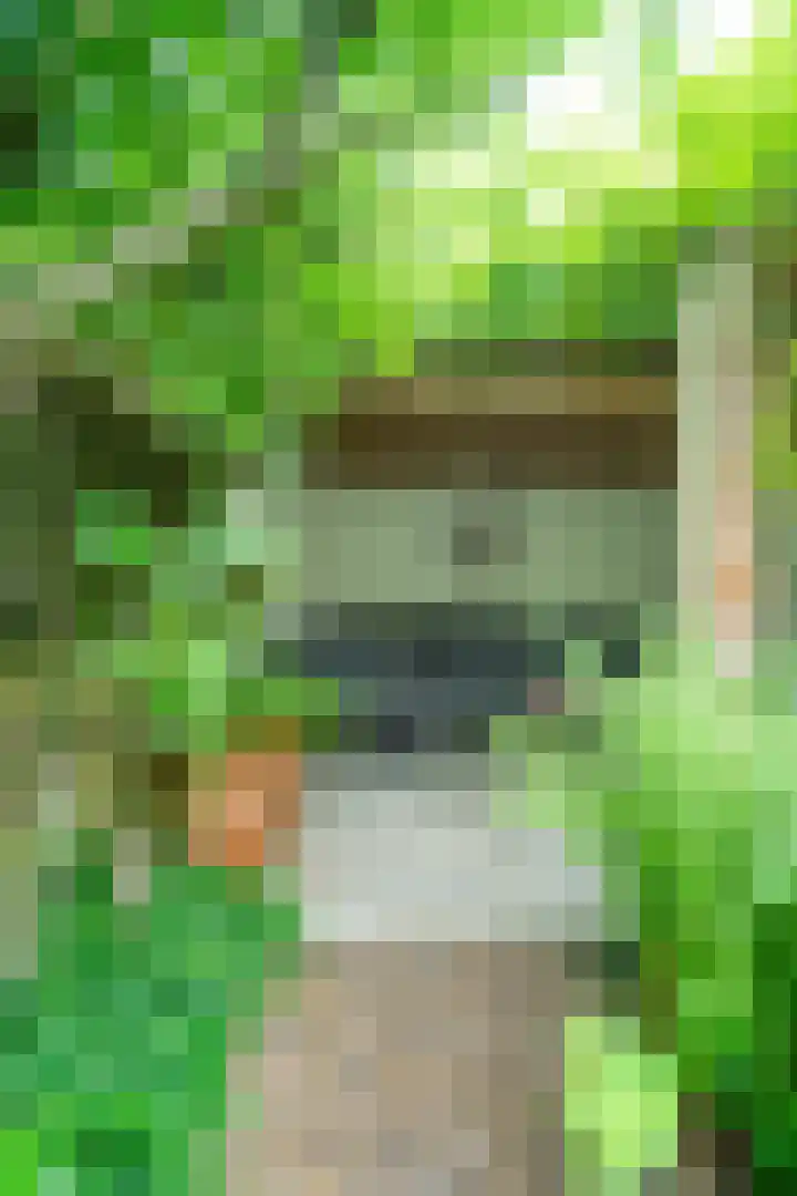 Nieuwe Uitleg 55 Bakel thumbnail 30