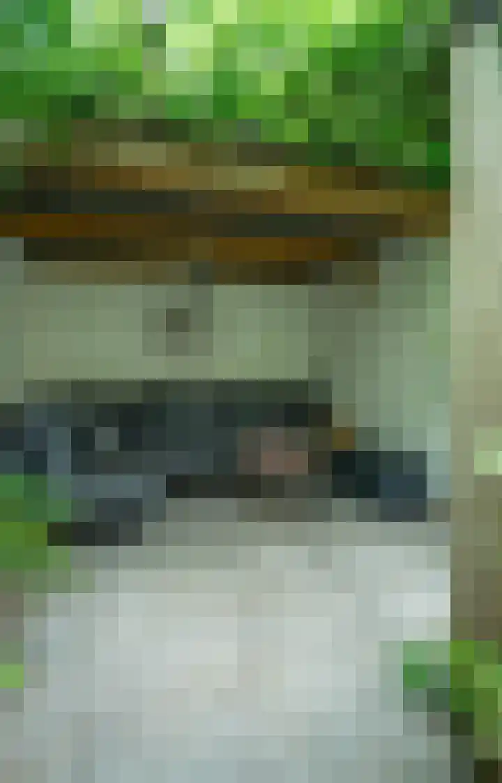 Nieuwe Uitleg 55 Bakel thumbnail 31