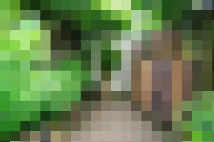 Nieuwe Uitleg 55 Bakel thumbnail 32