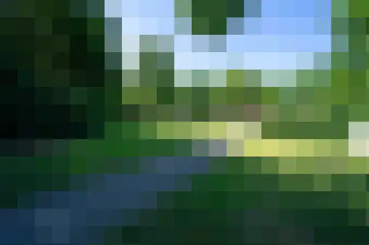 Nieuwe Uitleg 55 Bakel thumbnail 33